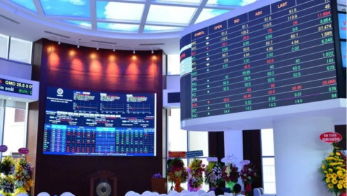 Danh sách những mã cổ phiếu trong Bộ chỉ số mới VN50 GROWTH