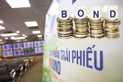 Thanh tra Chính phủ: cơ chế phát hành trái phiếu doanh nghiệp 'có sơ hở'