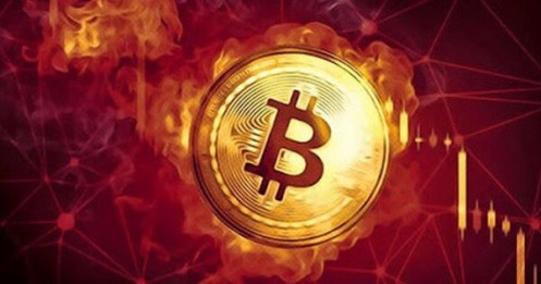 Thị trường tiền số hôm nay, 19-10: Công ty chỉ có 2 nhân viên muốn tham gia tài sản số