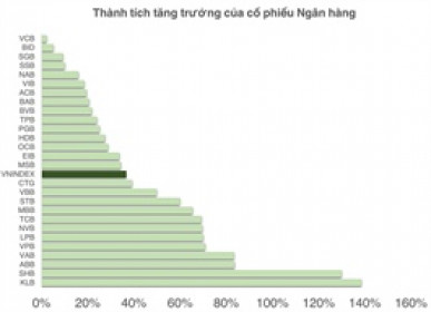 Ngân hàng chững đà tăng: Dấu hiệu rủi ro hay bàn đạp cho dòng tiền lan tỏa?