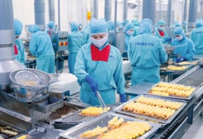 Lợi nhuận hãng tôm Sao Ta tăng trưởng bất chấp thuế đối ứng trên trăm tỷ