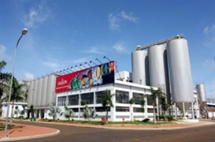 SMB sắp chi nốt cổ tức năm 2025, Sabeco hưởng lợi lớn