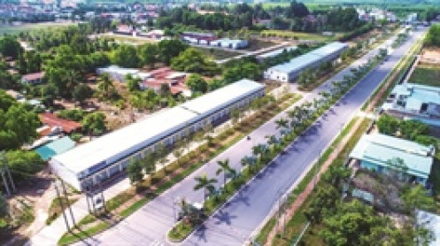 TIP lãi quý 3 tăng 46%