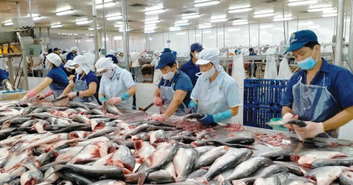 Báo cáo Thủ tướng 'hàng rào' thuế gây khó doanh nghiệp