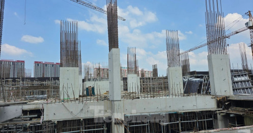 Chủ đầu tư thông tin việc người dân khó nộp hồ sơ online mua NOXH với gần 10.000 hồ sơ