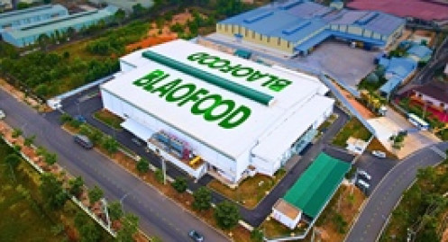 Antesco dừng chia cổ tức 2024, tính chuyện niêm yết HOSE trong quý 4/2025