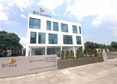 BV Life lãi quý 3 tăng gần 2,800%, cổ phiếu tăng trần 3 phiên trước khi hạ nhiệt