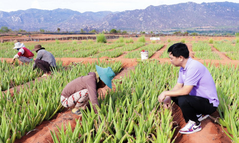 'Vua nha đam' lãi kỷ lục