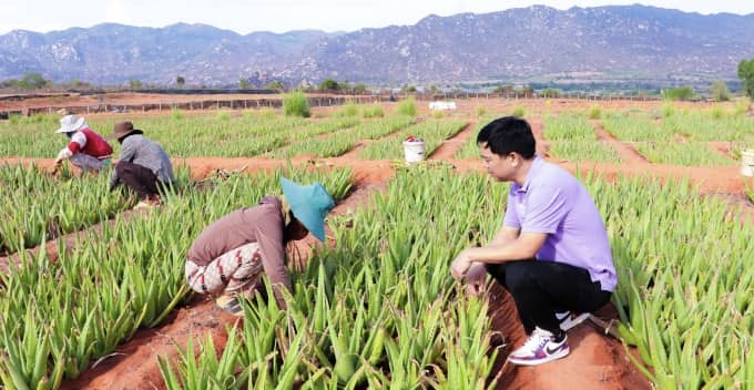 'Vua nha đam' lãi kỷ lục