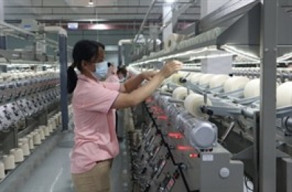 Chi phí tài chính bào mòn, STK lãi ròng quý 3 lao dốc 87% dù biên lãi gộp lập kỷ lục