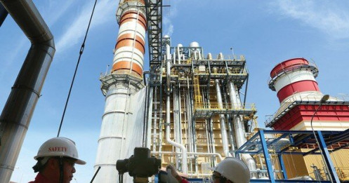 Hàng loạt công ty điện báo lãi lớn