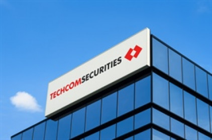 Vợ Giám đốc chi nhánh TCBS muốn bán toàn bộ cổ phần