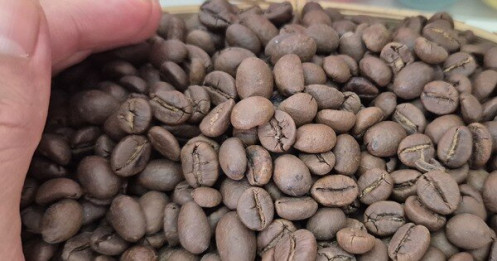 Giá cà phê hôm nay 27-10: Kỳ vọng Robusta trở lại mốc 120.000 đồng/kg