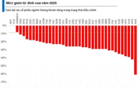 Khi điều chỉnh xuất hiện tại 100% cổ phiếu ngành chứng khoán