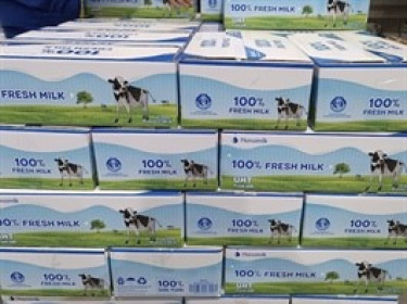 Hụt đơn hàng gia công khiến lợi nhuận quý 3 Hanoimilk lao dốc