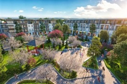 BV Asset mua thêm hơn 4.8 triệu cp BVL