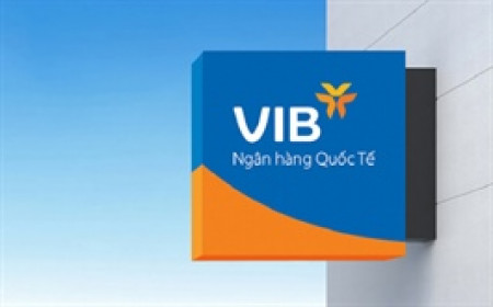 VIB đạt lợi nhuận 9 tháng hơn 7,040 tỷ đồng, tăng 7%, chi trả 21% cổ tức 2025