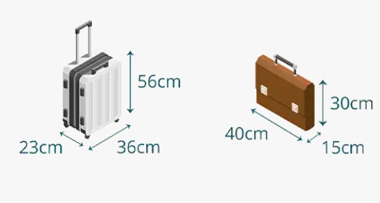 Vietnam Airlines sẽ thu phí hành lý xách tay quá cước từ ngày 3-11