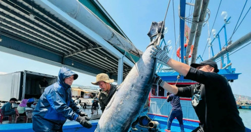 Gỡ thẻ vàng thủy sản: 'Chúng ta không còn chỗ cho sai sót'