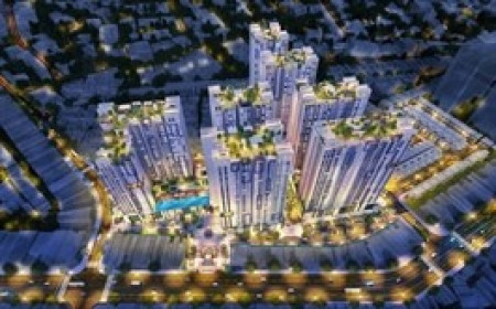 PYN Elite Fund tiếp tục mua thêm 3 triệu cp HDG