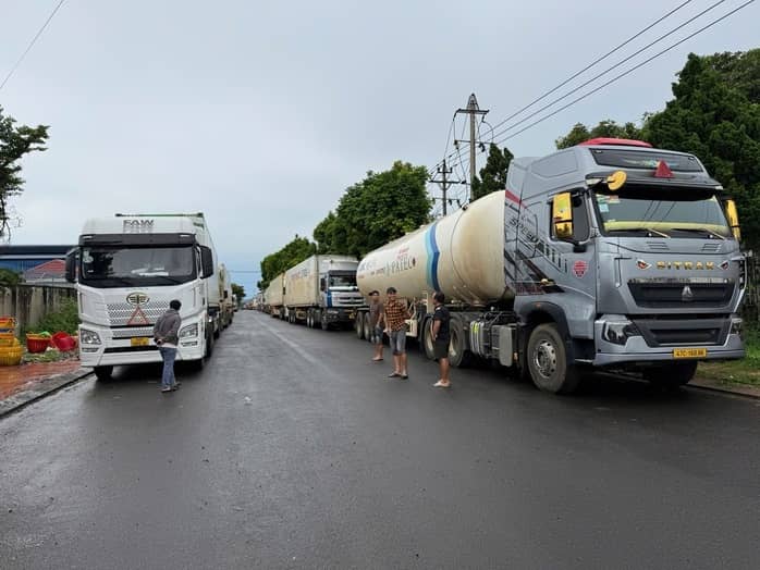 Chuyện gì đang xảy ra với việc kiểm nghiệm sầu riêng?
