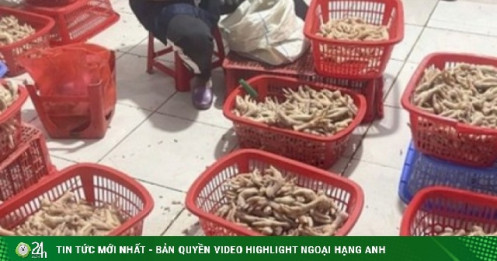 Phát hiện hàng tấn chân gà và xúc xích không rõ nguồn gốc ở Lạng Sơn