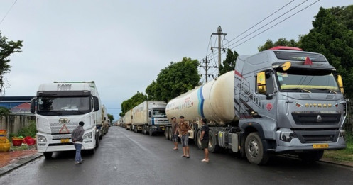 Chuyện gì đang xảy ra với việc kiểm nghiệm sầu riêng?