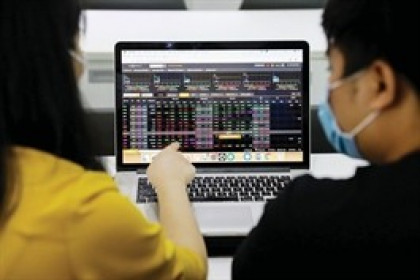 Chứng khoán Hòa Bình bị kiểm soát đặc biệt, giá cổ phiếu rơi gần 30% trong tháng