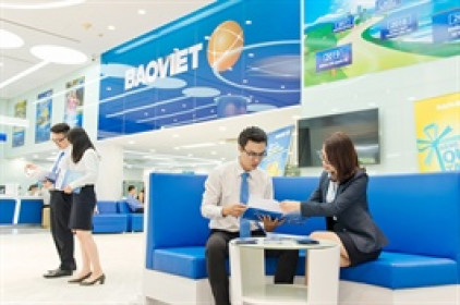 Chứng khoán Bảo Việt sẽ chi cổ tức 8% bằng tiền vào cuối tháng 11