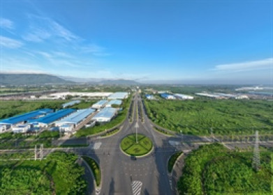 SZC công bố thông tin nhận quyết định xử phạt vi phạm hành chính về thuế