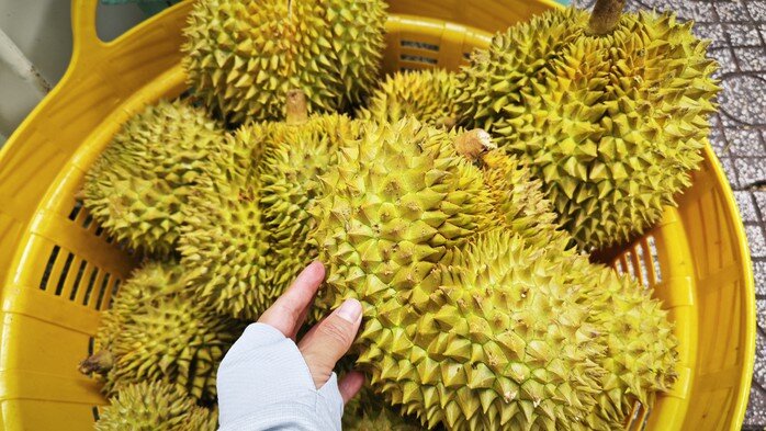 Phó Thủ tướng yêu cầu làm rõ trách nhiệm để gián đoạn kiểm nghiệm sầu riêng