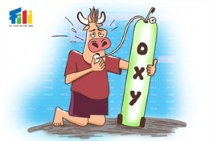 Vietstock Weekly 03-07/11/2025: Rủi ro gia tăng?