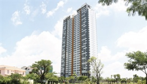 Vạn Phát Hưng lỗ quý thứ 4 liên tiếp dù doanh thu gấp đôi cùng kỳ