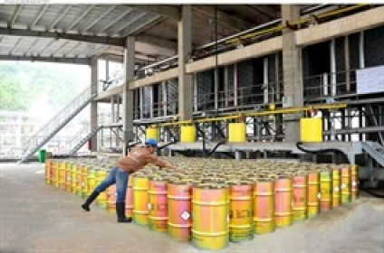 Dragon Capital hạ tỷ lệ sở hữu DGC xuống dưới 5%