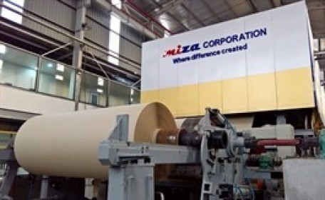 Chủ tịch Miza thực hiện quyền mua gần 3.3 triệu cổ phiếu