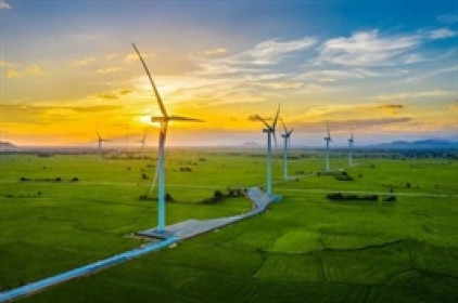 PC1 chốt thưởng hơn 53.6 triệu cp trong quý 4, tạm dừng phương án ESOP