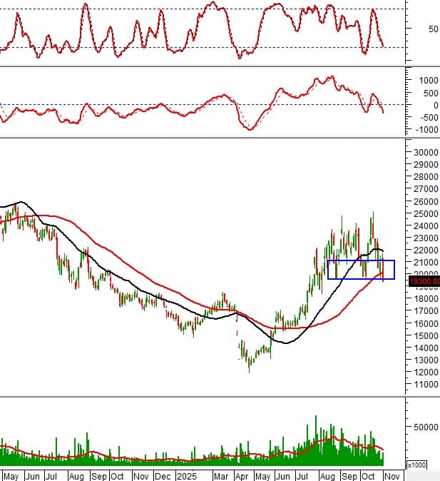 10 cổ phiếu đáng chú ý phiên 3/11: FPT giữ đà tăng, DIG và DBC đối mặt rủi ro điều chỉnh sâu