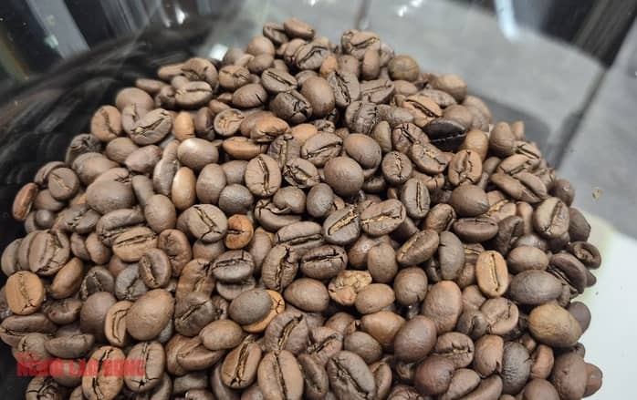 Giá cà phê hôm nay 4-11: Tăng vọt