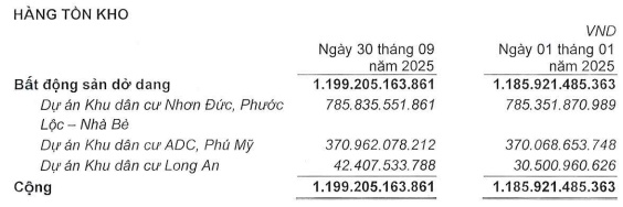 Khoản vay từ Tổng Giám đốc chiếm 99% dư nợ vay của VRC