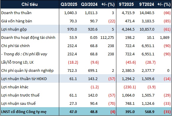 Khoản vay từ Tổng Giám đốc chiếm 99% dư nợ vay của VRC