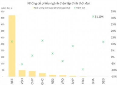 10 tháng lu mờ của cổ phiếu ngành điện
