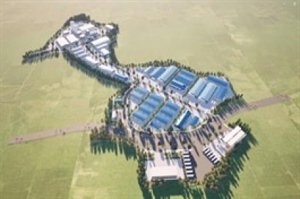 TDG mua lại trước hạn lô trái phiếu mệnh giá 100 tỷ đồng