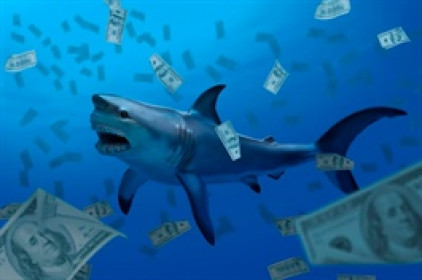 Theo dấu dòng tiền cá mập 06/11: Tự doanh bán ròng phiên thứ 3, khối ngoại xả hơn 1,200 tỷ