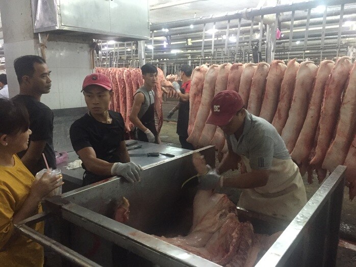 Giá heo hơi hôm nay, 6-11: Diễn biến lạ tại chợ đầu mối