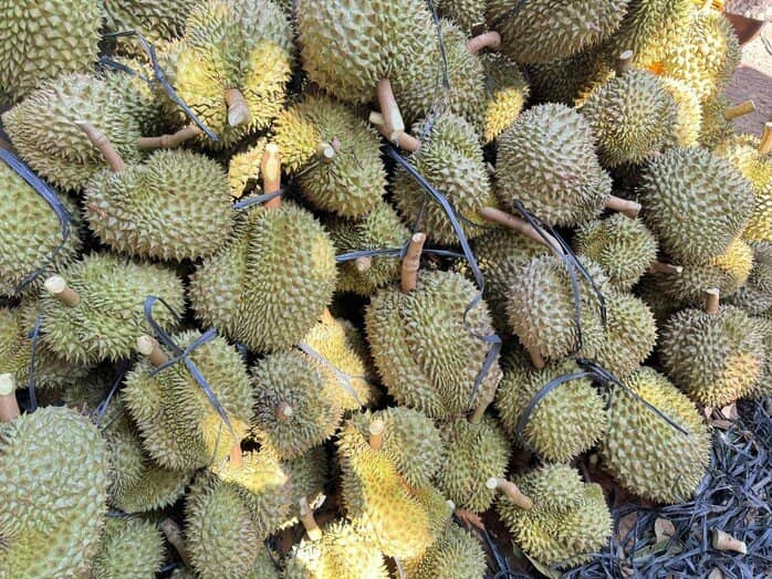 Lời cảnh tỉnh cho ngành sầu riêng