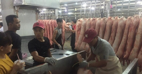 Giá heo hơi hôm nay, 6-11: Diễn biến lạ tại chợ đầu mối