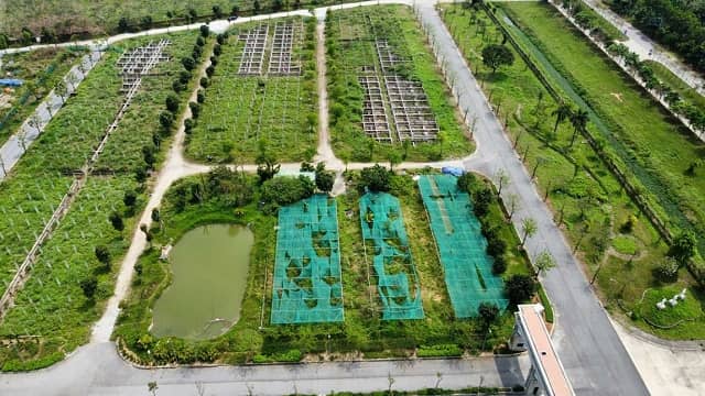CEO được giao hơn 17ha đất làm khu đô thị sau 17 năm, muốn vay gần 1.3 ngàn tỷ để đầu tư
