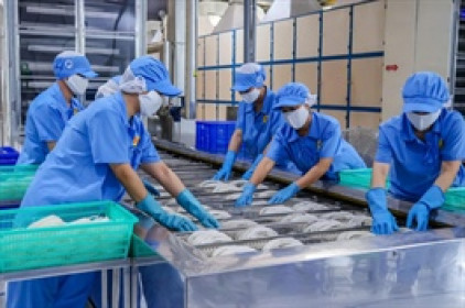 SGC chuẩn bị huy động gần 465 tỷ mua lại công ty con của Betrimex