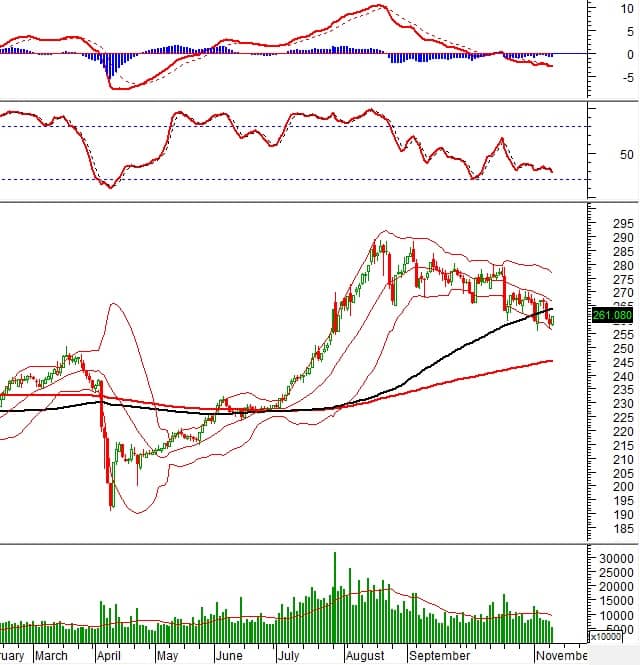Vietstock Daily 12/11/2025: Chững lại đà giảm