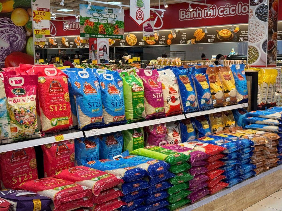 Ngành gạo quý 3: Niềm vui lợi nhuận, nỗi lo đầu ra